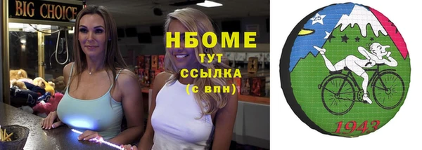 сатива Каменногорск