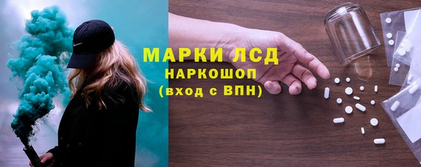 стафф Каменка