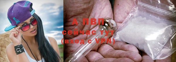 стафф Каменка