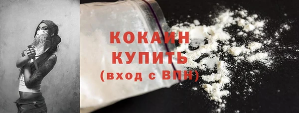 стафф Каменка