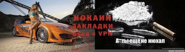 сатива Каменногорск