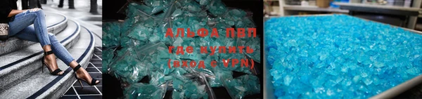сатива Каменногорск