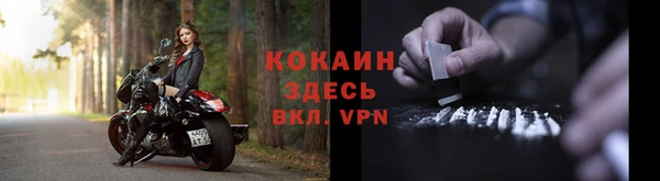 сатива Каменногорск