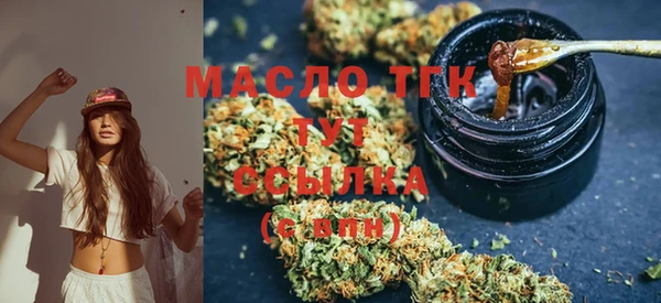 стафф Каменка